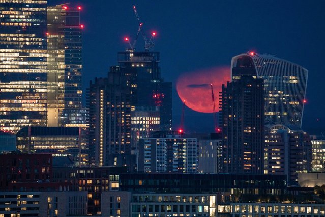 Full Moon or “Flower Moon” rises over the city seen from Parliament Hill viewpoint in north west London on May 23, 2024. This month's full moon is named, according to the Old Farmer's almanac, for the abundant flowers that spring forth this month. (Photo by Guy Corbishley/Alamy Live News)