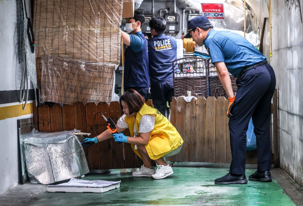 A Look at Life in South Korea