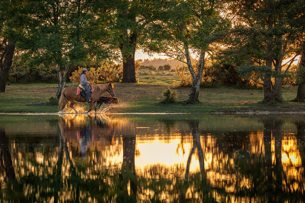 People in the Landscape