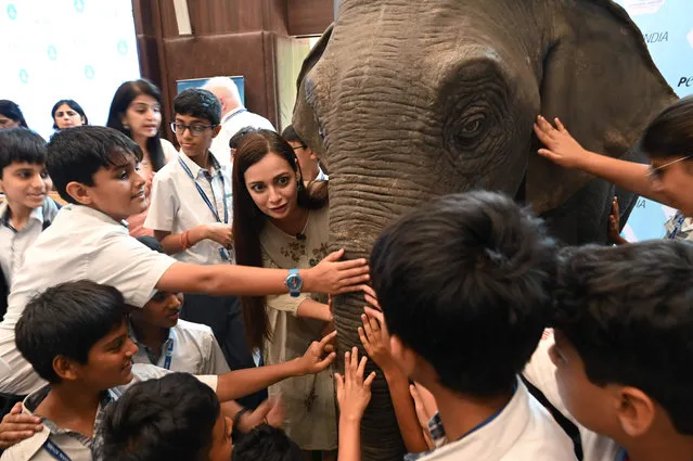 Bollywood actor and animal rights activist Dia Mirza interacts with school children during the launch of 'Ellie', a life-size animatronic elephant part of a People for the Ethical Treatment of Animals (PETA) nonprofit organization campaign, in Mumbai on May 5, 2023. (Photo by Indranil Mukherjee/AFP Photo)