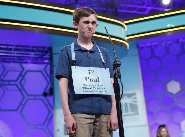 Paul Hamrick, 14, from Monterey, Calif., pauses as he spells a word correctly during the final round of the Scripps National Spelling Bee in Oxon Hill, Md., Thursday, May 31, 2018. (Photo by Carolyn Kaster/AP Photo)