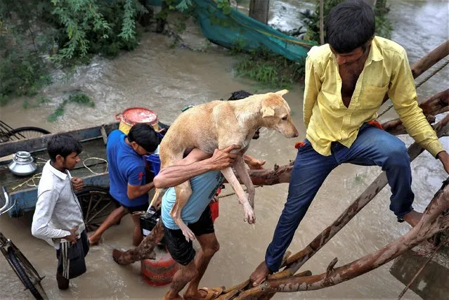 A man carries a dog as he uses tree branches to climb on a flyover under construction, as others wait, after being displaced by the rising water level of river Yamuna after heavy monsoon rains in New Delhi, India on July 12, 2023. (Photo by Adnan Abidi/Reuters)