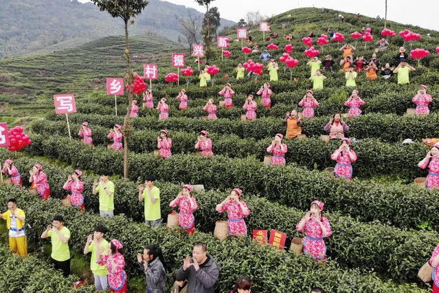 Farmers shout out to pray for favorable weather and bumper harvest before picking tea leaves at a tea garden on March 14, 2020 in Dazhou, Sichuan Province of China. (Photo by Zhang Lang/China News Service via Getty Images)