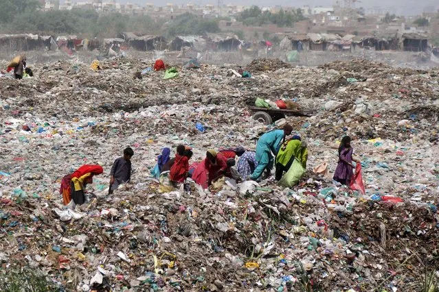 People search in the garbage dump to feed their animals, during smart lockdown after new cases of COVID-19 were reported across the country in Quetta, Pakistan, 24 March 2021. Pakistani authorities had imposed smart lockdowns in an effort to curb the outbreak of a third wave of infections with SARS-CoV-2 coronavirus which causes the COVID-19 disease. (Photo by Fayyaz Ahmad/EPA/EFE)