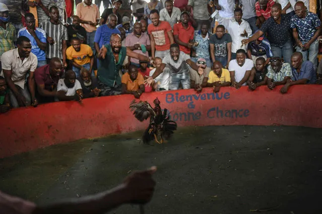 Roosters fight at the “Anbalakay kay kano” cockfighting club in the Bwa Moket neighborhood of Port-au-Prince, Haiti, Sunday, July 18, 2021. (Photo by Matias Delacroix/AP Photo)