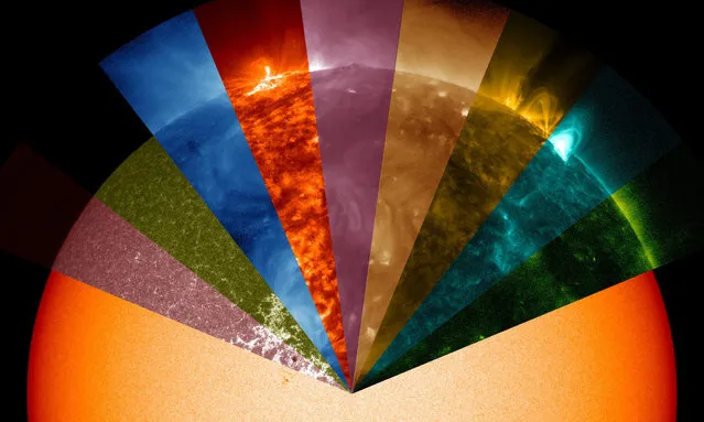 An undated handout picture released by NASA on 19 December 2013 shows a still image taken from a NASA movie of the sun based on data from NASA's Solar Dynamics Observatory (SDO), showing the wide range of wavelengths, invisible to the naked eye, that the telescope can view. (Photo by EPA/NASA Goddard Space Flight Center)