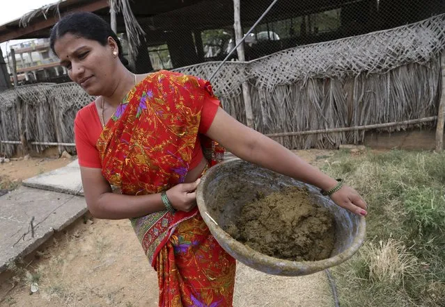 In this Tuesday, March 31, 2015 photo, an Indian woman carries cow dung to be used for producing biogas in Pujjana Agrahara village 36 kilometers (22 Miles) northeast of Bangalore, India. Every evening, hundreds of millions of Indian women hover over crude stoves making dinner for their families. They feed the flames with polluting fuels like kerosene or cow dung, and breathe the acrid smoke wafting from the fires. (Photo by Aijaz Rahi/AP Photo)