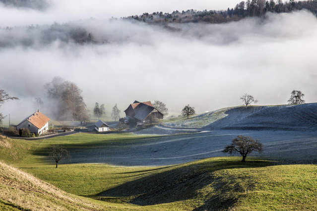 A Swiss landscape is covered with fog in Langnau am Albis, near Zuerich, Switzerland, 29 December 2015. (Photo by Patrick B. Kraemer/EPA)