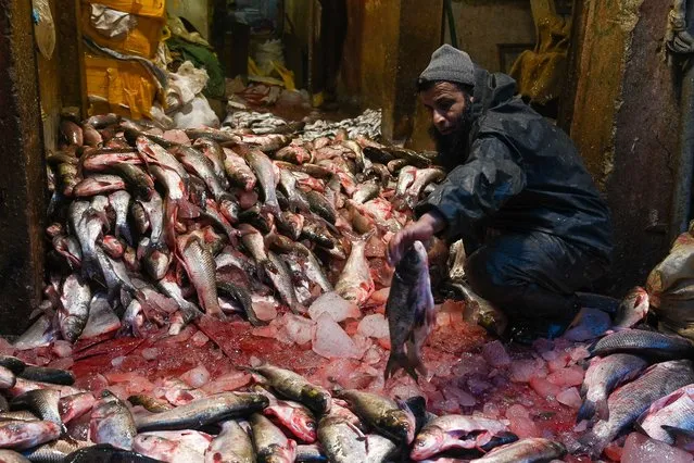 A worker sorts fish at a wholesale fish market in Peshawar on January 03, 2024. (Photo by Abdul Majeed/AFP Photo)