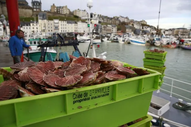 Boxes of scallops fished in the UK waters are pictured at the port of Granville, Normandy, Monday, November 1, 2021. France has threatened to bar British boats from some of its ports and tighten checks on boats and trucks carrying British goods if more French vessels aren't licensed to fish in U.K. waters by Tuesday Oct.2, 2021. French fishing crews stood their ground, demanding a political solution to a local dispute that has become the latest battleground between Britain and the European Union. (Photo by Nicolas Garriga/AP Photo)