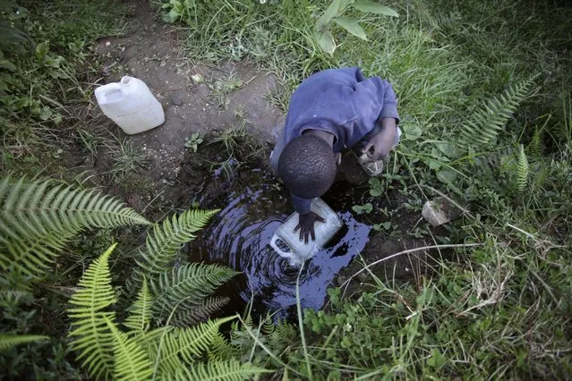 A boy fills a container at a water source in the outskirts of Kenscoff, Haiti, February 23, 2016. March 22 marks World Water Day. (Photo by Andres Martinez Casares/Reuters)