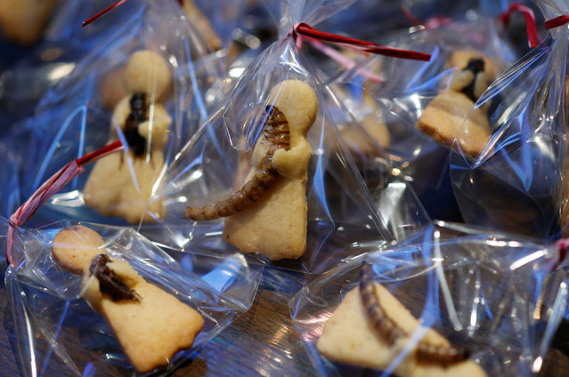 Cookies with insects are pictured at a bar in downtown Tokyo, Japan, February 12, 2017. (Photo by Toru Hanai/Reuters)