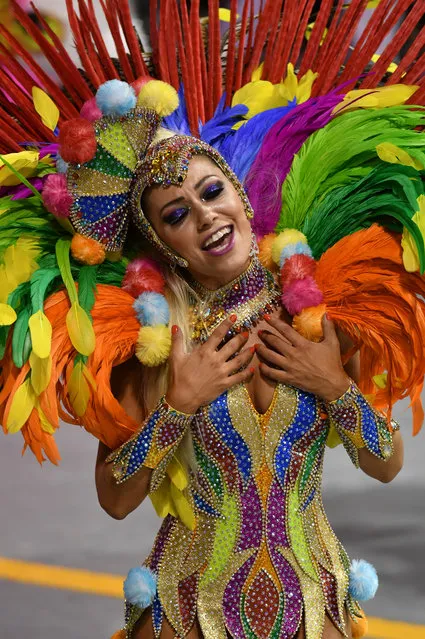A reveler of the Tom Maior samba school performs during the first night of carnival parade at the Sambadrome in Sao Paulo, Brazil on February 24, 2017. (Photo by Nelson Almeida/AFP Photo)