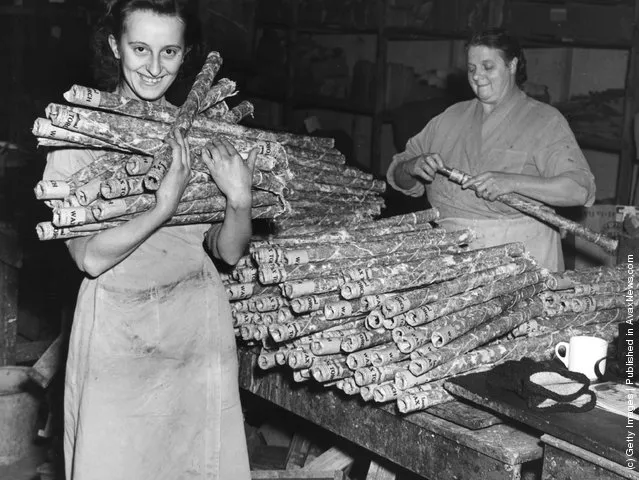 1950: A factory worker holds a bundle of long-burning fog torches at the Brocks firework factory, Hertfordshire