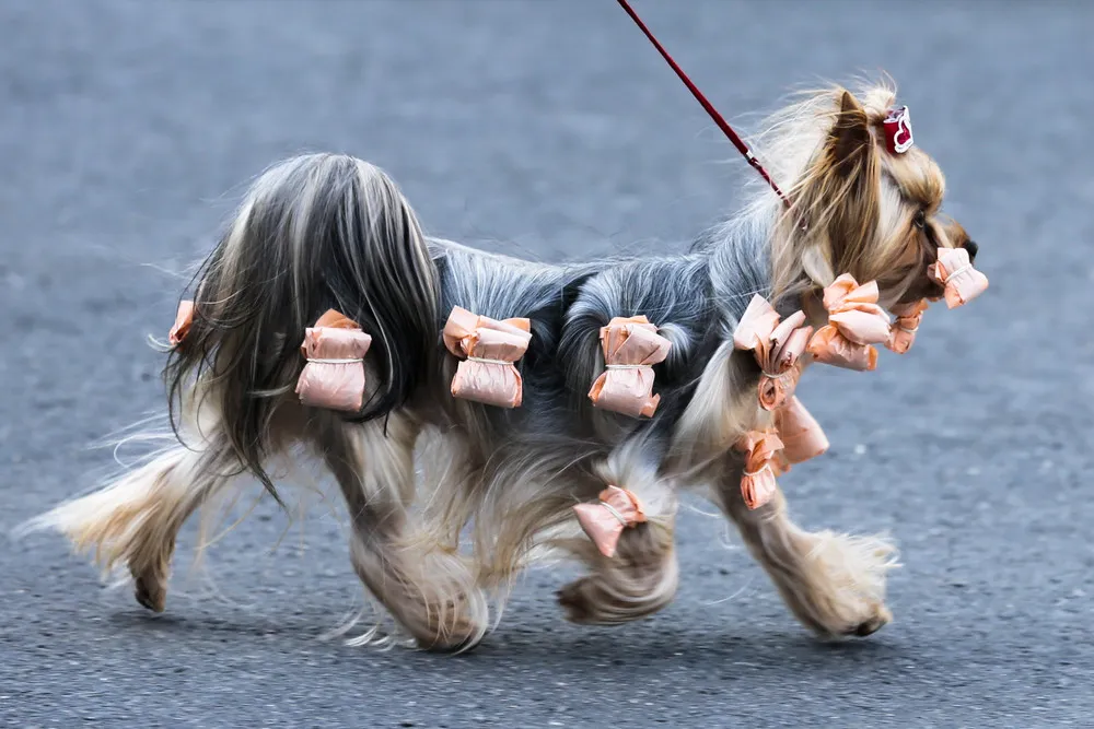 The Week in Pictures: Animals, March 29 – April 4, 2014