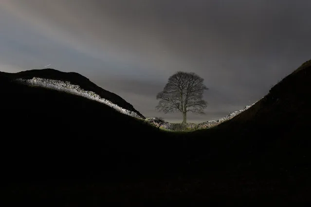 A section of Hadrian's Wall is illuminated during a long exposure near the wall's milecastle 39 known as Sycamore Gap near Hexham, northern England on January 19, 2022. (Photo by Oli Scarff/AFP Photo)