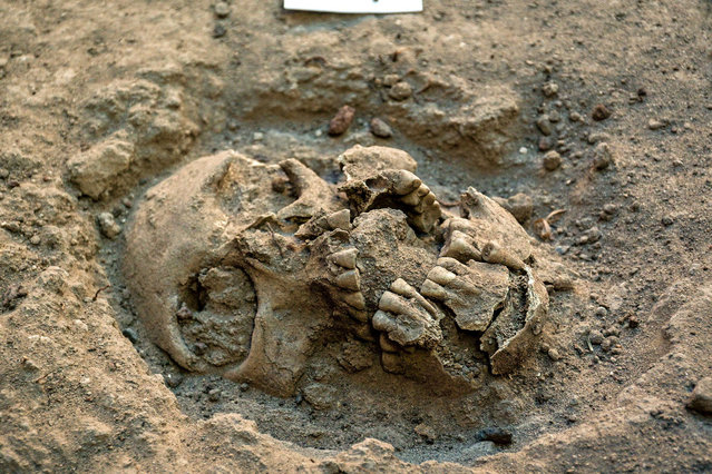 A view shows human remains discovered by archaeologists from Mexico's National Institute of Anthropology and History (INAH) in a cemetery belonging to an early viceregal period in Chapultepec Park in Mexico City, Mexico in this photo released on February 15, 2023 and distributed by INAH. (Photo by Mexico's National Institute of Anthropology and History/Handout via Reuters)