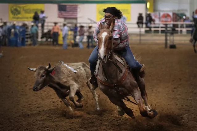 Linda Knight participates in the steer undecorating competition at the Bill Pickett Invitational Rodeo on March 31, 2017 in Memphis, Tennessee. (Photo by Scott Olson/Getty Images)