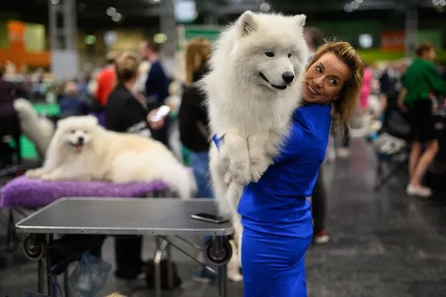 A woman cuddles her Samoyed dog on the first day of the Crufts dog show at the National Exhibition Centre in Birmingham, central England, on March 10, 2022. (Photo by Oli Scarff/AFP Photo)