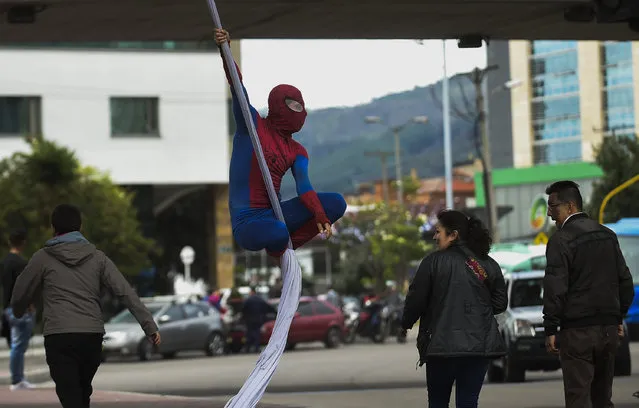 Colombian Jahn Fredy Duque, dressed as superhero “Spiderman”, performs on the streets in Bogota, Colombia on April 24, 2017. (Photo by Raul Arboleda/AFP Photo)