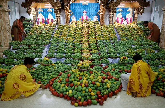 Priests arrange mangoes offered by devotees to Hindu God Swaminarayan during a mango festival at a temple in Ahmedabad, June 3, 2017. (Photo by Amit Dave/Reuters)