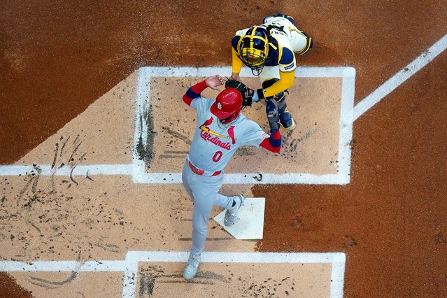 St. Louis Cardinals' Masyn Winn scores past Milwaukee Brewers catcher William Contreras during the first inning of a baseball game Tuesday, September 3, 2024, in Milwaukee. (Photo by Morry Gash/AP Photo)