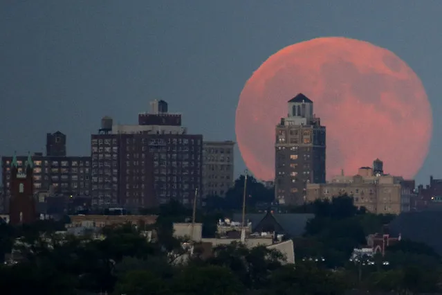 A blue moon rises behind Brooklyn seen from Liberty State Park in Jersey City, N.J., Friday, July 31, 2015. (Photo by Julio Cortez/AP Photo)