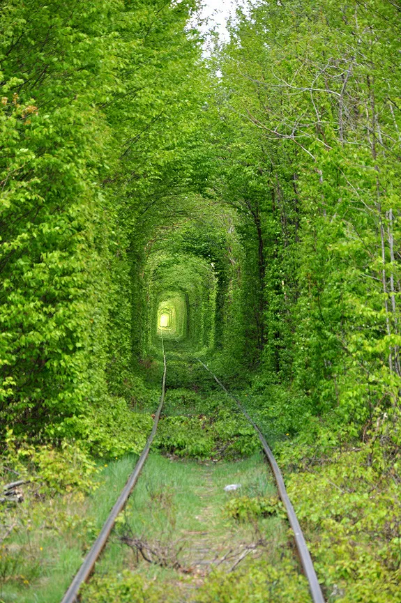 Tunnel of love in Rovno Ukraine