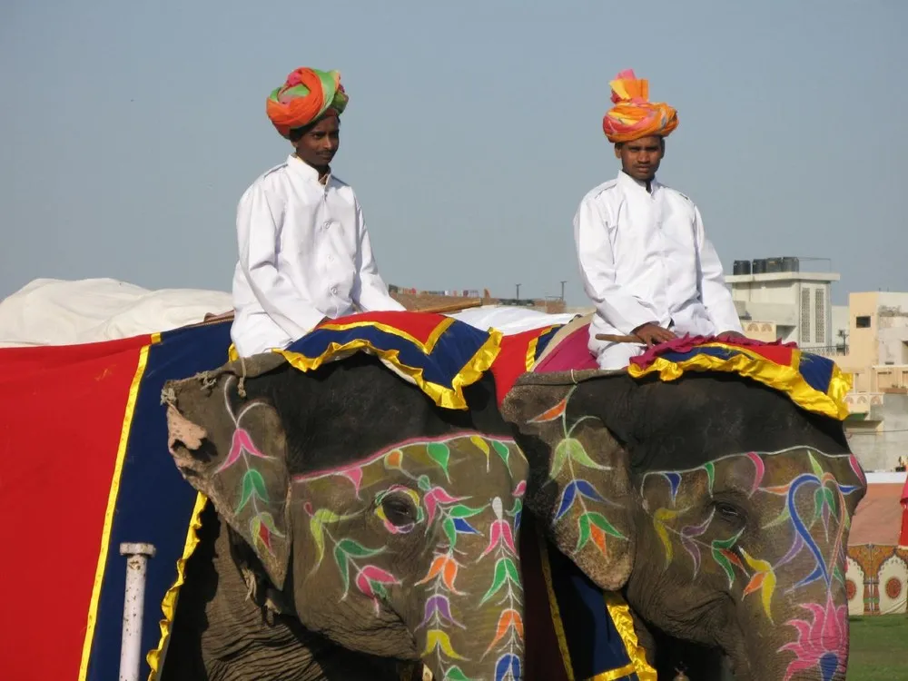 Elephant Festival in Jaipur