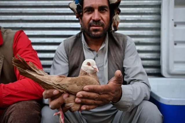 A bird vendor holds a pigeon as he waits for customers in the Ka Faroshi bird market in Kabul on July 16, 2022. (Photo by Lillian Suwanrumpha/AFP Photo)