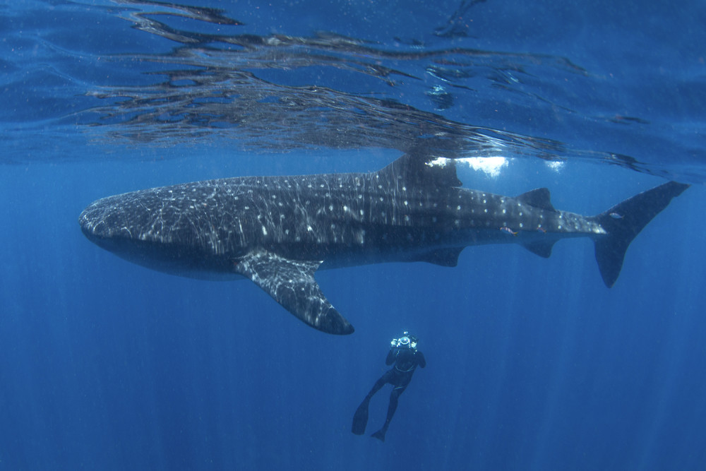 Some Photos: Waterworld