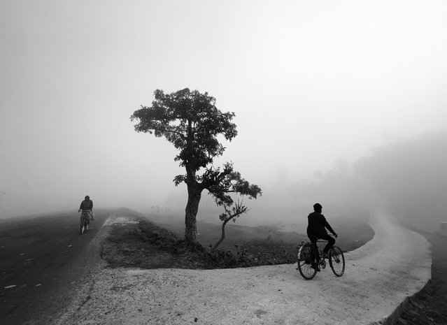 Third place – lifestyle. “Cycle of Life”. Location: Siliguri, India. Shot on iPhone 13 Pro Max. (Photo by Dimpy Bhalotia/Courtesy of the artist and IPPAWARDS)