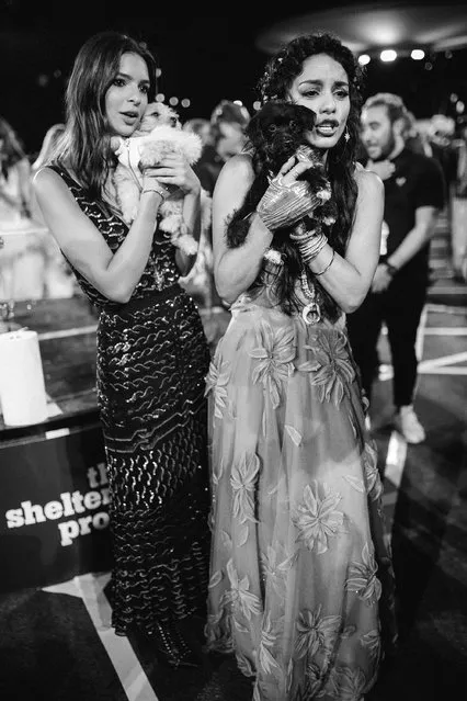 Emily Ratajkowski (L) and Vanessa Hudgens attend the 2015 MTV Video Music Awards at Microsoft Theater on August 30, 2015 in Los Angeles, California. (Photo by Mike Windle/Getty Images for MTV)