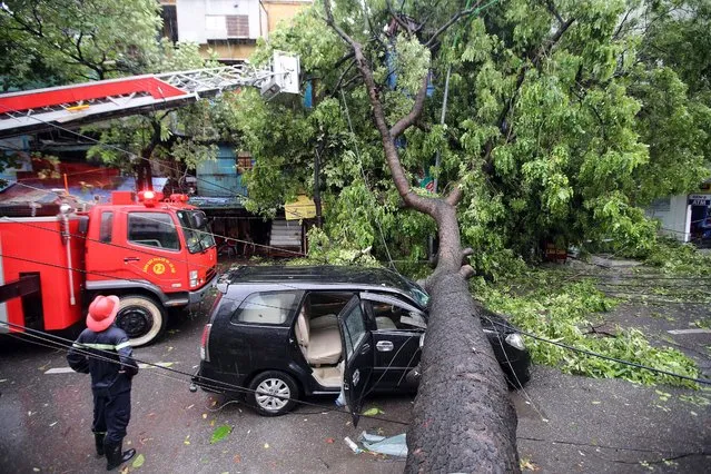 A fallen tree blocks a street in Hanoi, Vietnam, 28 July 2016. Mirinae, the first storm hitting Vietnam this year, has caused heavy rain in Hanoi and some northern provinces. Around 500 trees were reported fallen with one dead in Hanoi, according to local media reports. (Photo by Luong Thailinh/EPA)