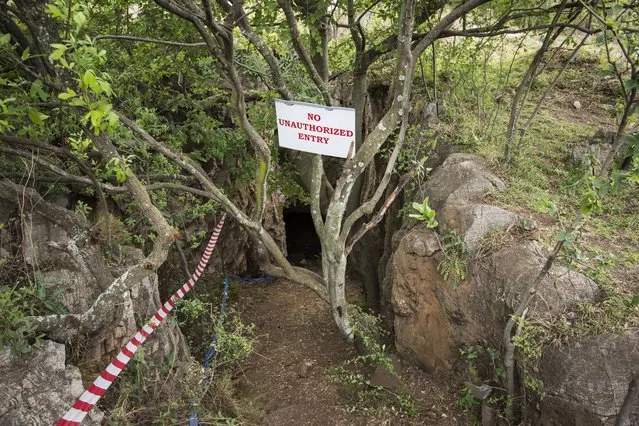 A hand out picture made available by the University of the Witwatersrand, shows the entrance to the “Rising Star Cave” system in Maropeng, close to Johannesburg, on November 16, 2013. (Photo by Brett Eloff/AFP Photo)