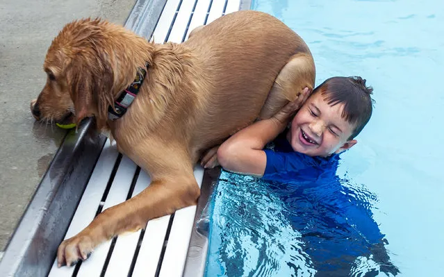 Corbin Schneider celebrates his seventh birthday with his dog, Jingles, a 10-month-old Golden Retriever, as he helps her get out of the pool after jumping for a ball Saturday, September 13, 2014 during the Bowling Green-Warren County Humane Society's annual Puppy Paddle in Bowling Green, Ky. (Photo by Miranda Pederson/AP Photo/Daily News)