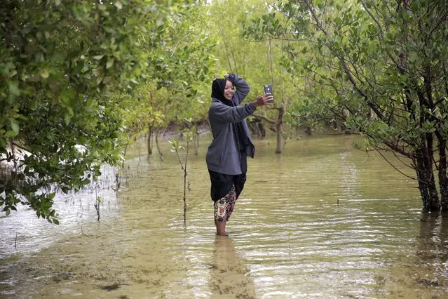 A member of Mikoko Pamoja, Swahili for “mangroves together”, takes a selfie in front of mangrove trees at Gazi Bay, in Kwale county, Kenya on Sunday, June 12, 2022. The project has for nearly a decade quietly plodded away, conserving over 100 hectares (264 acres) of mangroves while simultaneously planting new seedlings. (Photo by Brian Inganga/AP Photo)