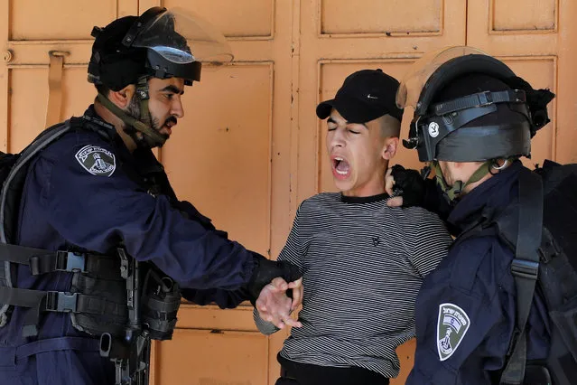 Israeli border police members detain a Palestinian during a protest against Israel's plan to annex parts of the occupied West Bank, in Heron on June 19, 2020. (Photo by Mussa Qawasma/Reuters)