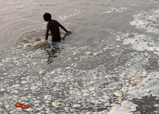 A devotee takes a holy dip in the polluted Sangam, confluence of three rivers, the Ganga, the Yamuna and mythical Saraswati, in Allahabad November 10, 2008. (Photo by Jitendra Prakash/Reuters)