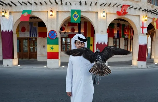 A boy holds a falcon in front of national flags in Doha, Qatar on November 13, 2022. (Photo by Suhaib Salem/Reuters)
