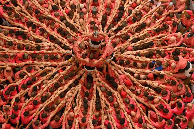 Members of the “Colla Vella dels Xiquets de Valls” human tower team form a “castell” (human tower) during the XXVI human towers, or “castells”, competetion in Tarragona on October 2, 2016. These human towers, built traditionally in festivals within Catalonia, gather several teams that attempt to build and dismantle a human tower structure. (Photo by Lluis Gene/AFP Photo)