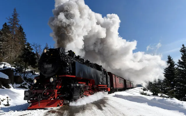 A steam train of the Harzer Schmalspurbahn (Harz narrow gauge train) makes its way towards the Brocken mountain near Schierke, Germany, March 1, 2018. (Photo by Fabian Bimmer/Reuters)