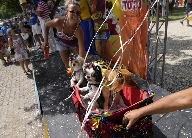A woman and her dogs take part in a costume competition during the “Blocao” dog carnival parade in Rio de Janeiro, Brazil, Saturday, February 18, 2023. (Photo by Silvia Izquierdo/AP Photo)
