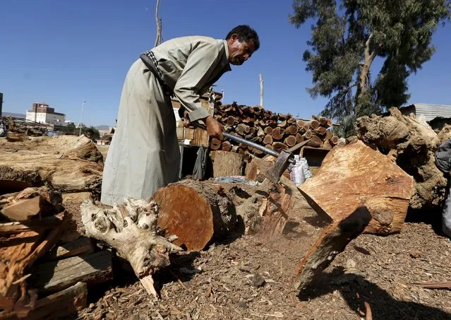 A worker chops firewood at a market amid ongoing fuel and cooking gas shortages in Yemen's capital Sanaa December 2, 2015. (Photo by Khaled Abdullah/Reuters)