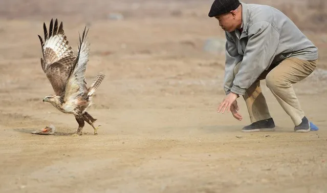 A volunteer releases a rescued raptor into the wild in Shenyang, northeast China's Liaoning Province, March 14, 2021. Raptors rescued by Shenyang birds of prey rescue center were released into the wild in Shenyang on Sunday. These birds have all fully recovered from injury or starvation under the effort of the center. (Photo by Yang Qing/Xinhua News/Profimedia)