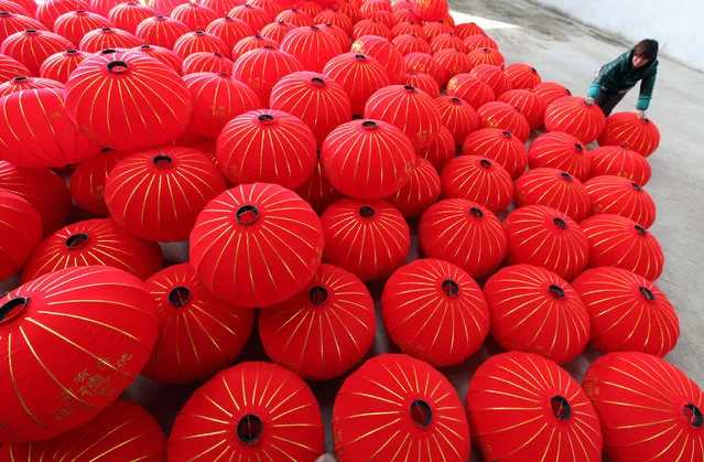 A worker arranges lanterns at a factory ahead of the upcoming Chinese Lunar New Year, in Boai county, Henan province, January 19, 2016. (Photo by Reuters/China Daily)