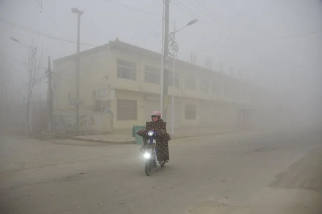 A cyclist rides along a street in heavy smog during a polluted day in Liaocheng, Shandong province, December 20, 2016. (Photo by Reuters/Stringer)