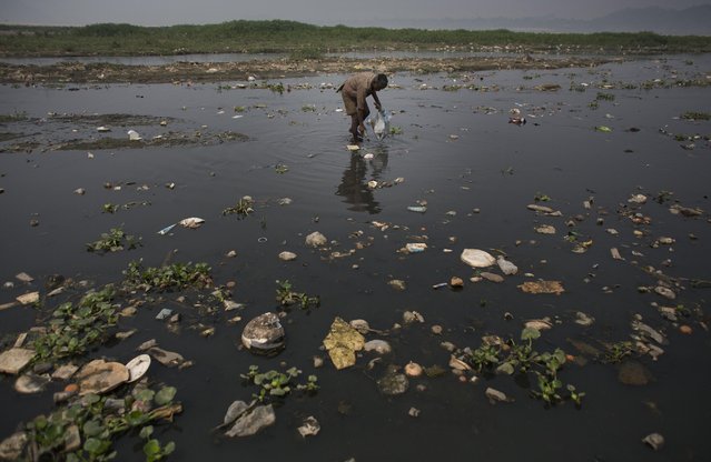 An Indian ragpicker collects recyclable material from a polluted area of the river Brahmaputra on World Water Day in Gauhati, India, Sunday, March 22, 2015. The U.N. warns that the world could suffer a 40 percent shortfall in water by 2030 unless countries dramatically change their use of the resource. (Photo by Anupam Nath/AP Photo)