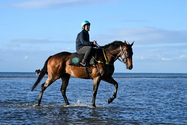 Rebecca Shanks riding Alligator Blood from the Waterhouse and Bott racing team during a beach trackwork session at Altona beach on October 25, 2023 in Altona North, Australia. Alligator Blood will contest Saturdays Group One Cox Plate. (Photo by Vince Caligiuri/Getty Images)