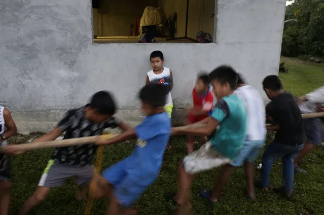 In this November 25, 2018 photo, a group of children play tug-of-war away from the second edition of the Panamanian indigenous games in Piriati, Panama. (Photo by Arnulfo Franco/AP Photo)